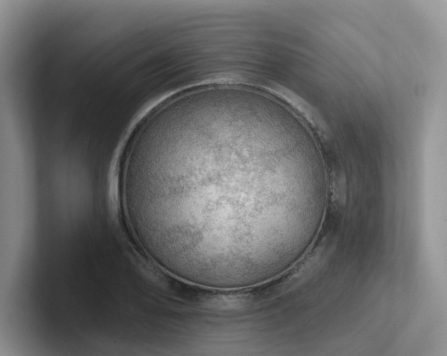 X0000102501078200808081344