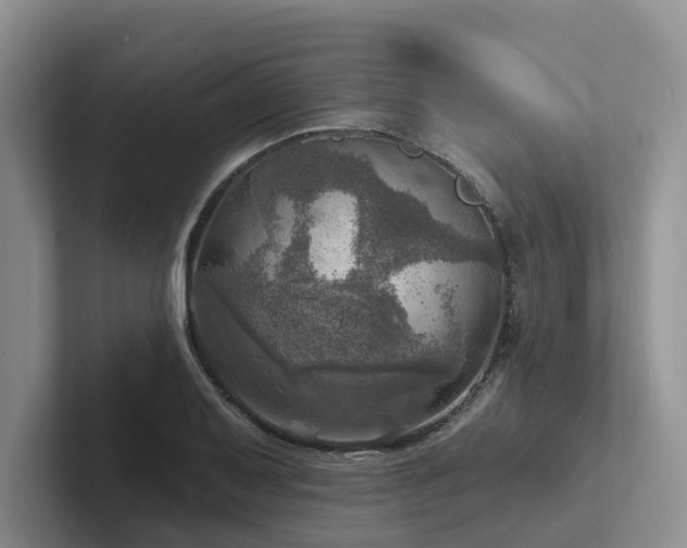 X0000102501079200808081344