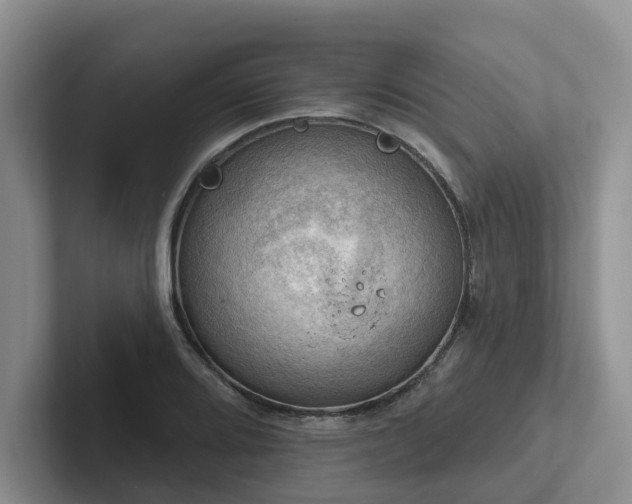 X0000102501080200808081344