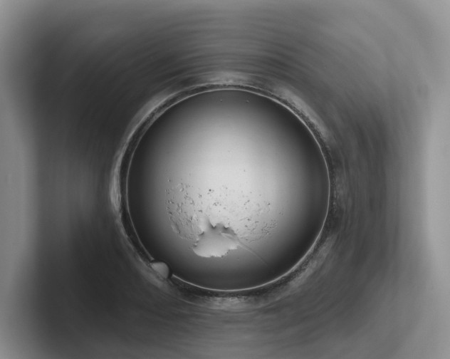 X0000102501082200808081344