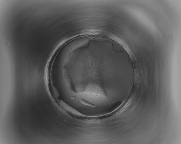 X0000102501083200808081344