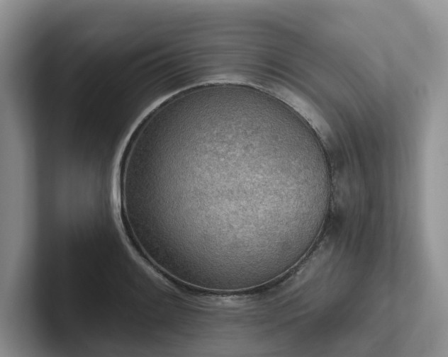 X0000102501084200808081344