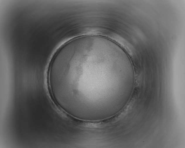 X0000102501086200808081344