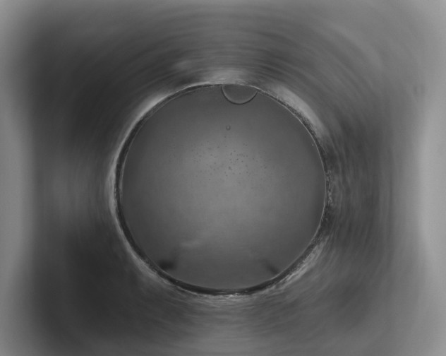 X0000102501087200808081344