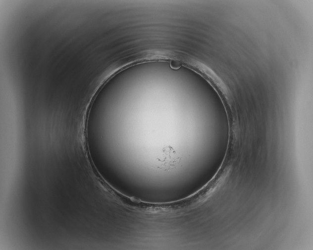 X0000102501089200808081344