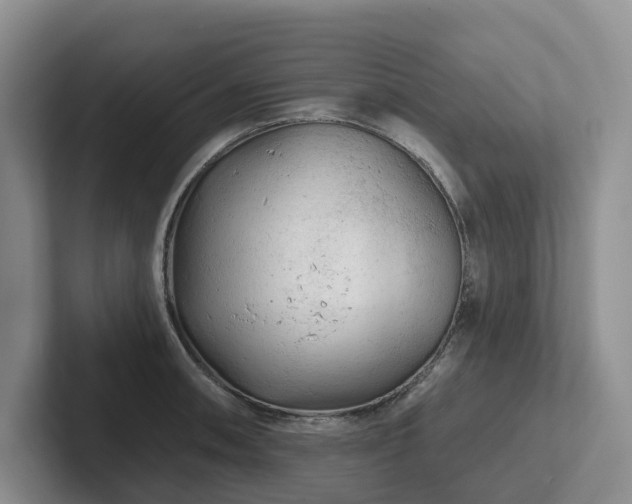 X0000102501090200808081344