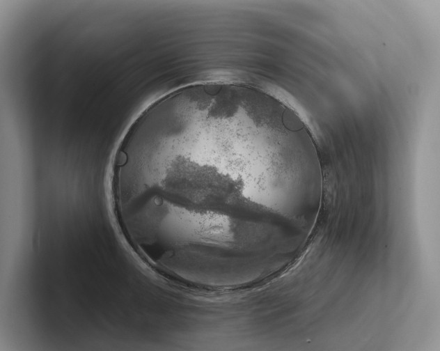 X0000102501091200808081344