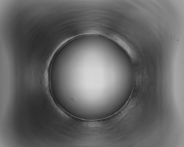 X0000102501092200808081344