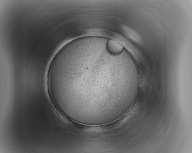X0000102501094200808081344