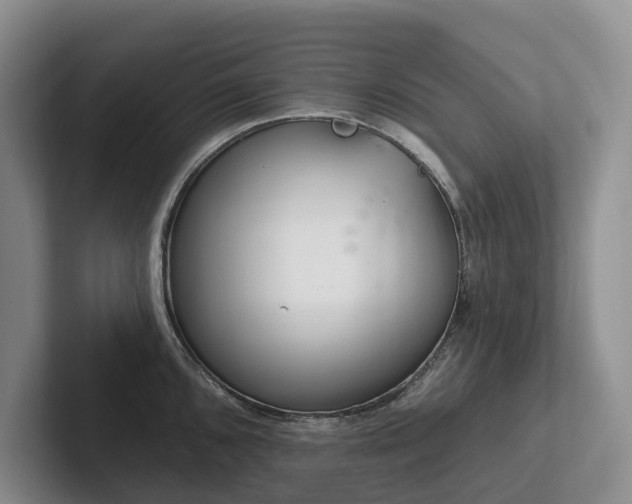 X0000102501096200808081344