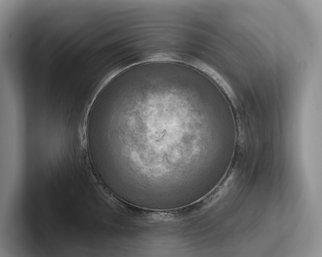 X0000102501097200808081344