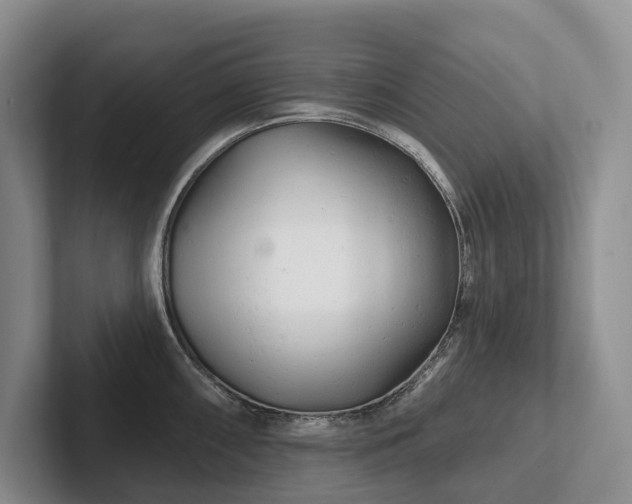 X0000102501098200808081344