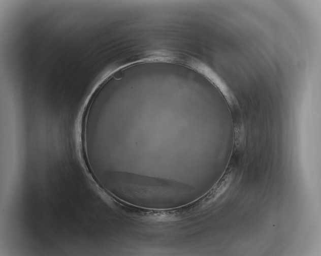 X0000102501099200808081344