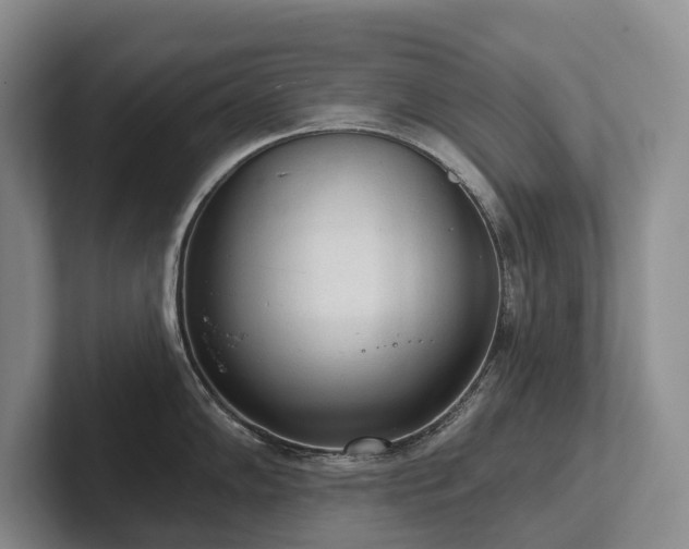 X0000102501102200808081344