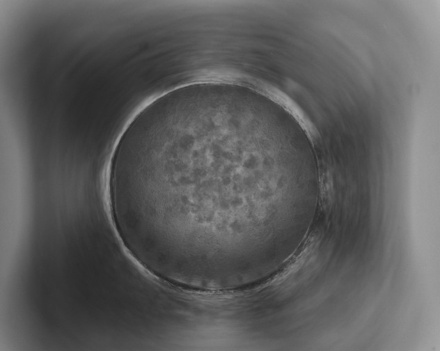 X0000102501103200808081344