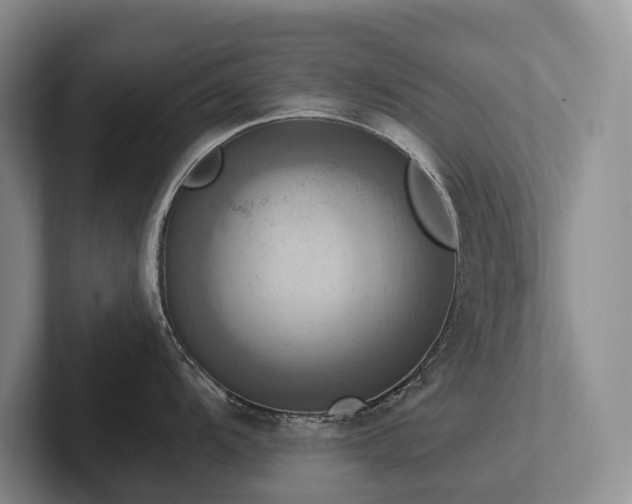 X0000102501104200808081344