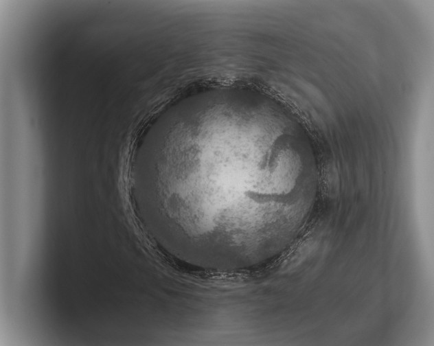 X0000102501105200808081343