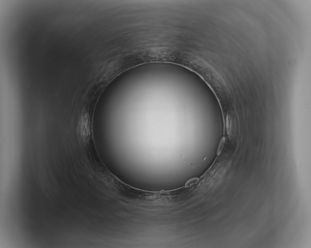 X0000102501107200808081343