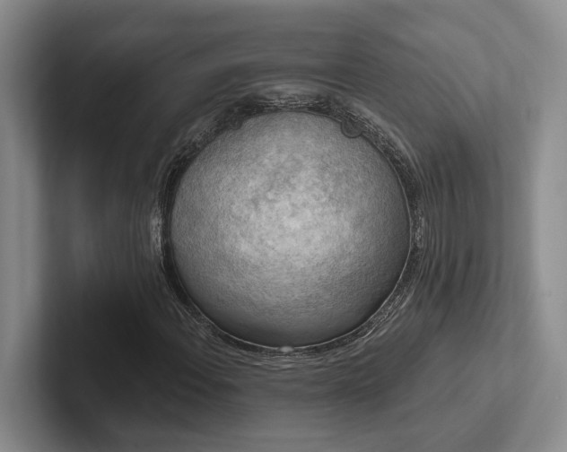 X0000102501108200808081343
