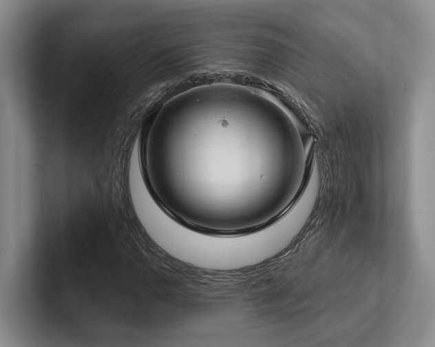 X0000102501110200808081343