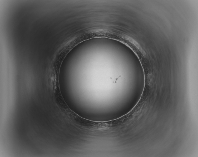 X0000102501111200808081343