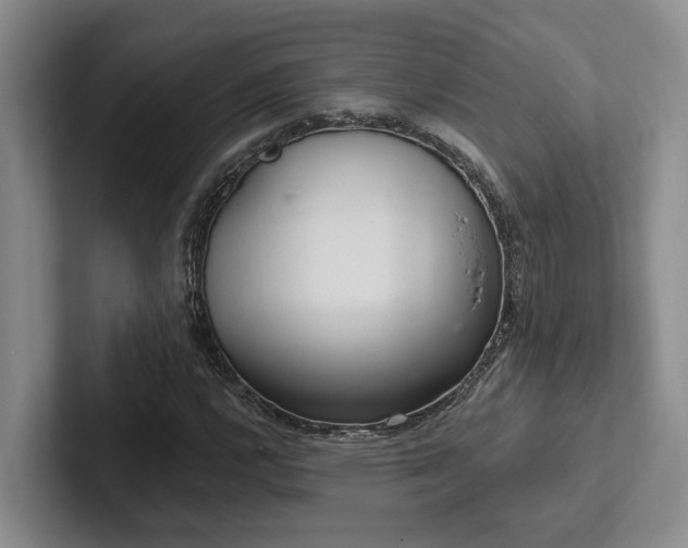 X0000102501112200808081343