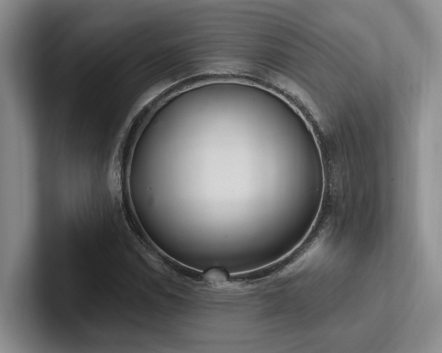 X0000102501114200808081343