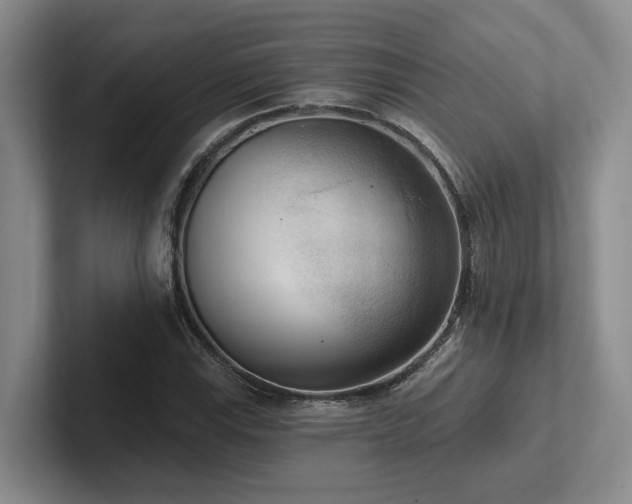 X0000102501115200808081343