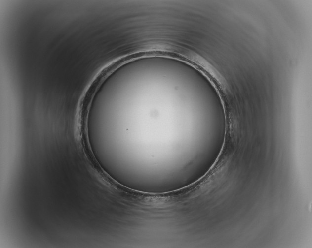 X0000102501116200808081343