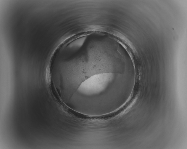X0000102501117200808081343