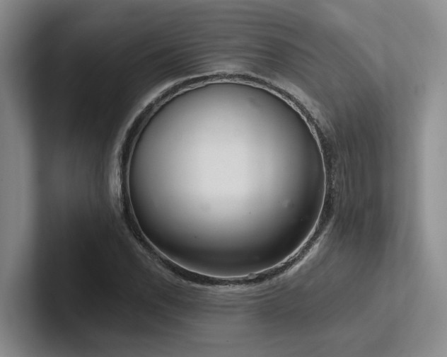 X0000102501118200808081343