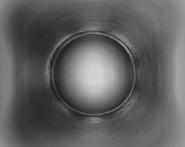 X0000102501119200808081343