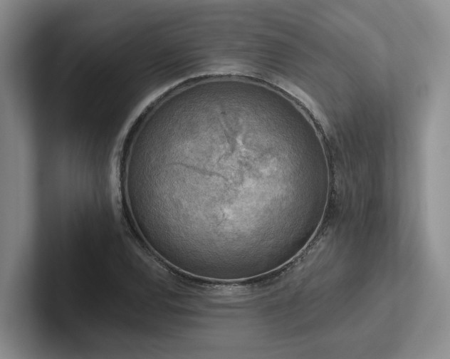 X0000102501120200808081343