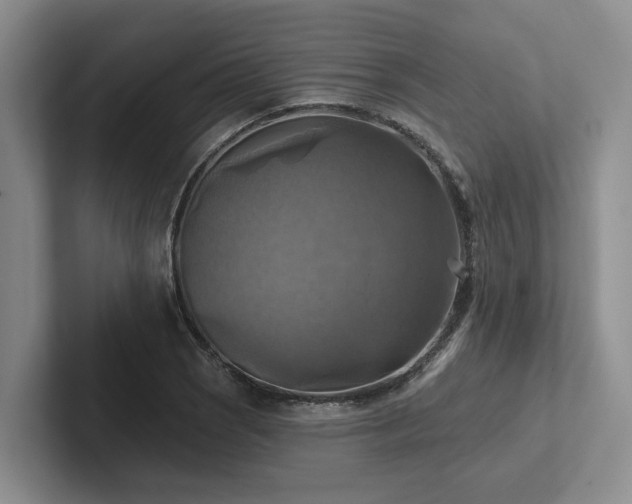 X0000102501121200808081343
