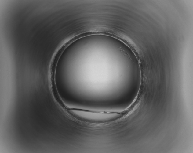 X0000102501122200808081343