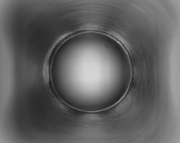 X0000102501123200808081343