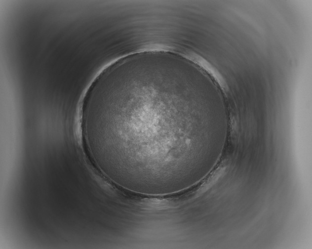 X0000102501124200808081343