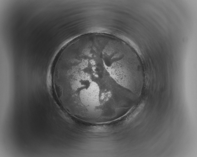 X0000102501125200808081343