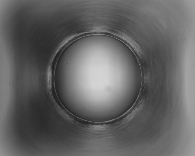 X0000102501126200808081343
