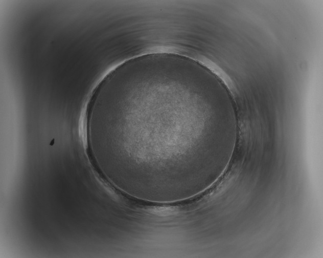 X0000102501127200808081343
