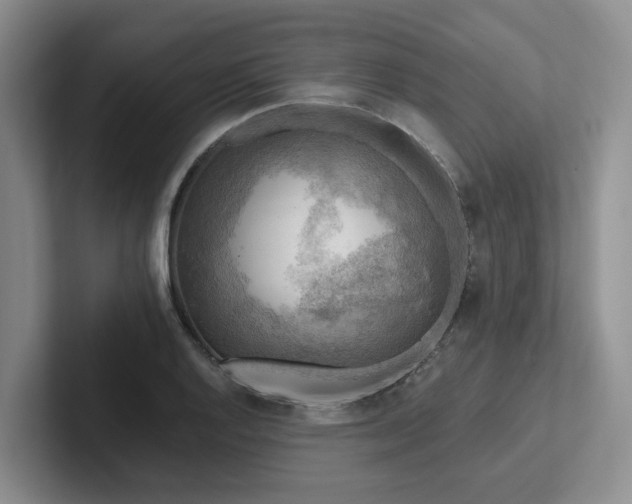 X0000102501128200808081343