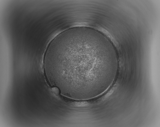 X0000102501129200808081343