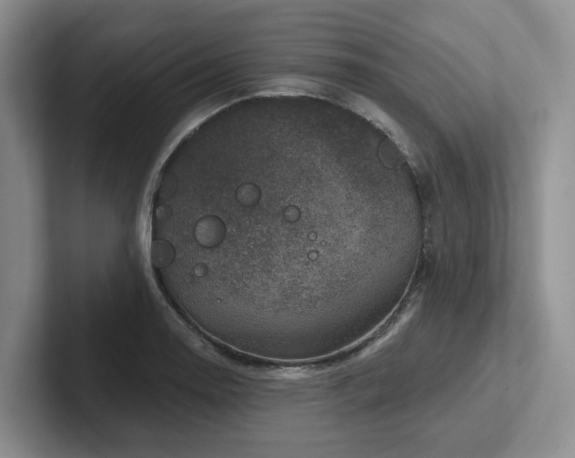 X0000102501130200808081343