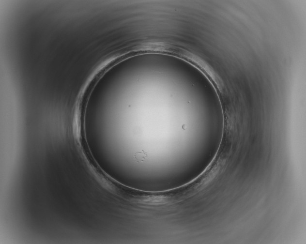X0000102501131200808081343