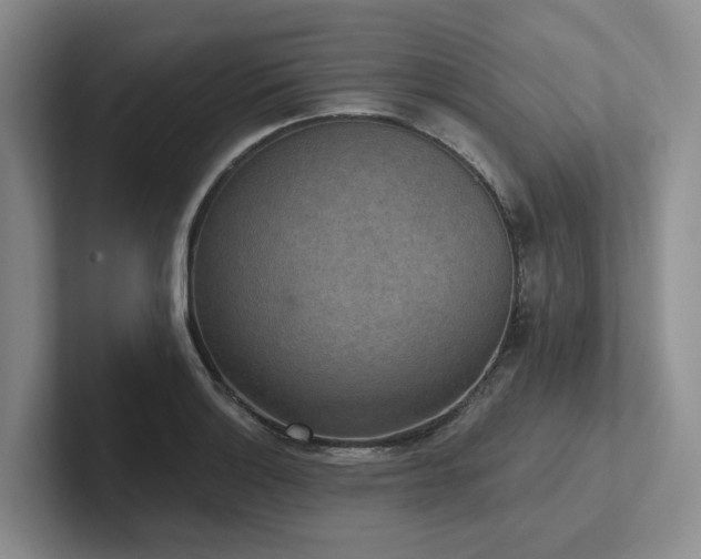 X0000102501132200808081343