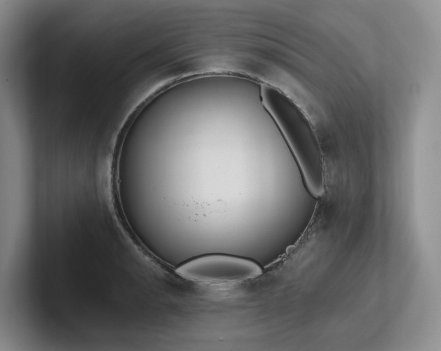 X0000102501134200808081343