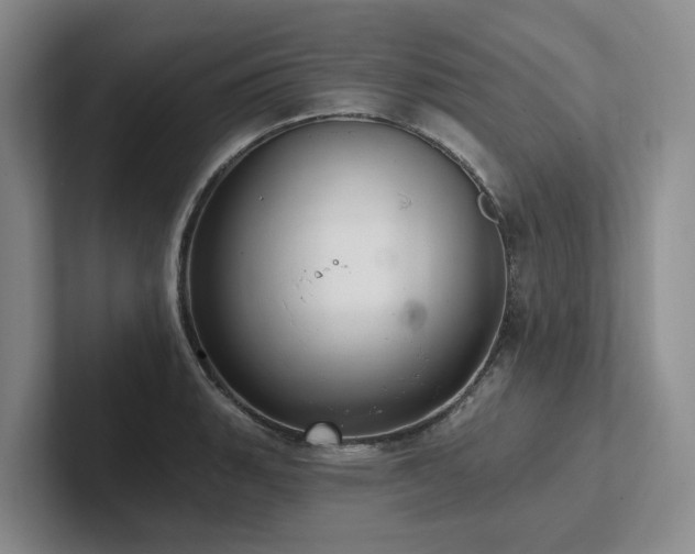 X0000102501135200808081343