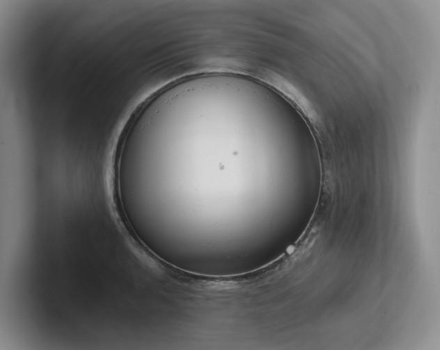 X0000102501136200808081343