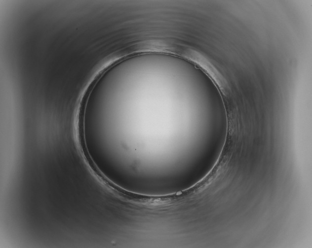 X0000102501139200808081344