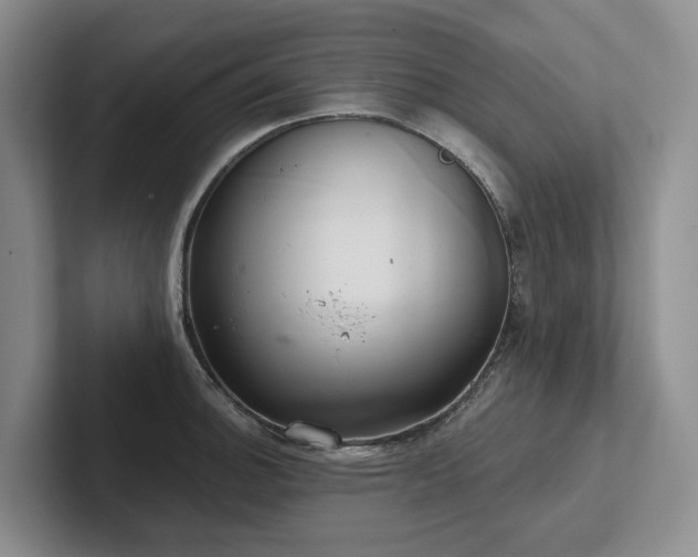 X0000102501140200808081344